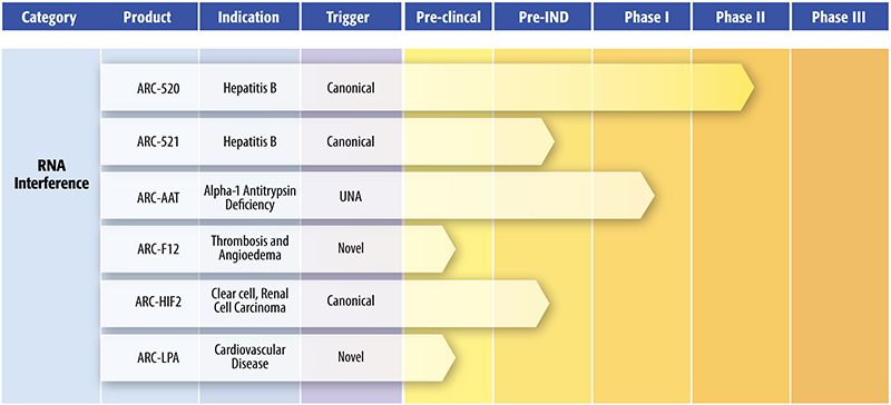 arrowhead läuft - zu recht 864940