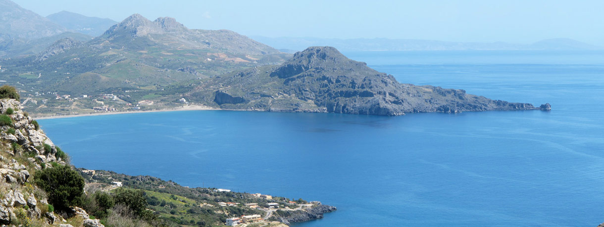 COOP News (ehemals: Wamu /WMIH) 1067519