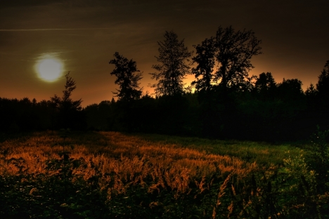 998.DAX Tipp-Spiel Dienstag,17.03.09.17.45 Uhr 222504