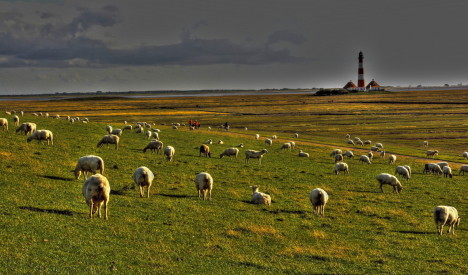 990.DAX Tipp-Spiel Do,05.03.09.17.45 Uhr 220072