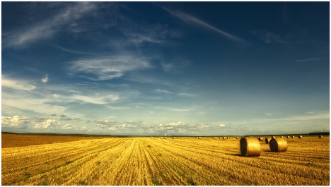 989.DAX Tipp-Spiel Mittwoch,04.03.09.17.45 Uhr 219867