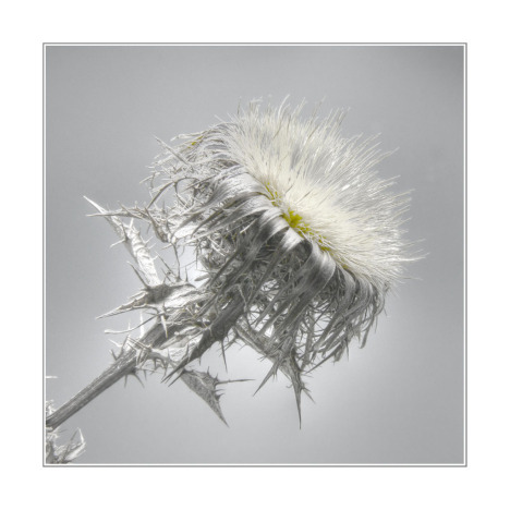 988.DAX Tipp-Spiel Dienstag,03.03.09.17.45 Uhr 219658