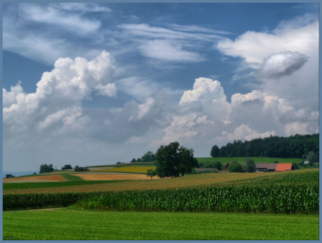 970.DAX Tipp-Spiel,Do,05.02.09, 17.45 Uhr 214654