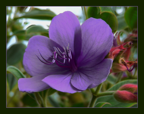 947.DAX Tipp-Spiel, Montag, 5.1.09, 17.45 Uhr 208465