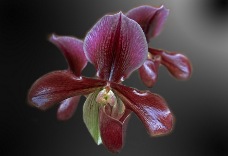 931.DAX Tipp-Spiel *Freitag* 05.12.08, 17.45 Uhr 203775