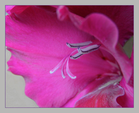 921.DAX Tipp-Spiel *Freitag* 21.11.08, 17.45 Uhr 200968