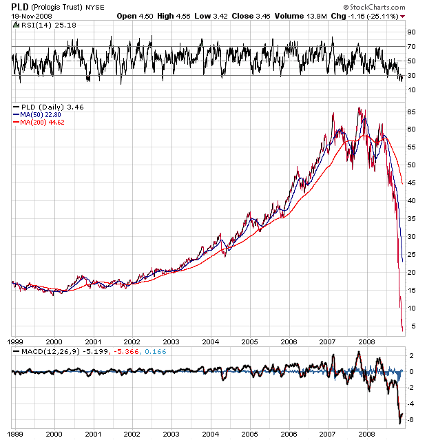 Der USA Bären-Thread 200695