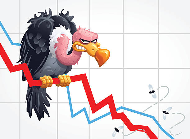 Guter Start nach dem Re-split 1313739