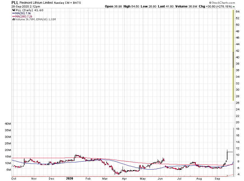 Der USA Bären-Thread 1203737