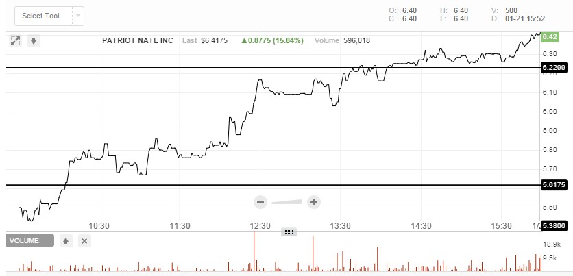 Patriot National (WKN: A14QZC) 887352