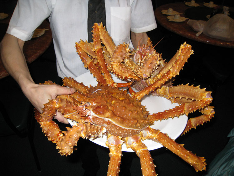 Arques wird Neu Starten 343119