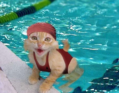 994.DAX Tipp-Spiel Mitwoch,11.03.09.17.45 Uhr 221227