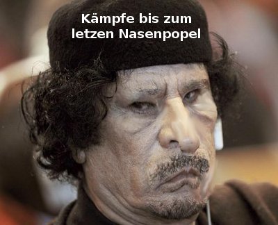Der USA Bären-Thread 383802