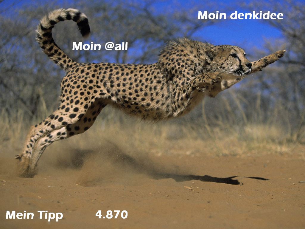 899.DAX Tipp-Spiel *Mittwoch* 22.10.08, 17.45 Uhr 194364