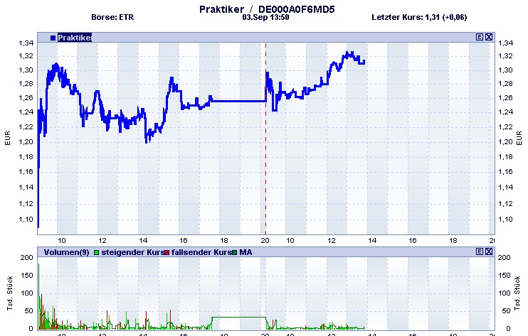 Praktiker praktisch kaufen 534130