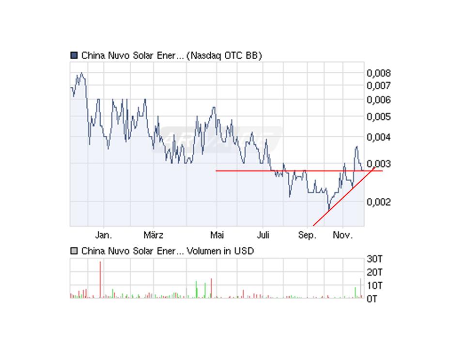 Hier könnte was kommen---China Nuvo Solar--- 361219
