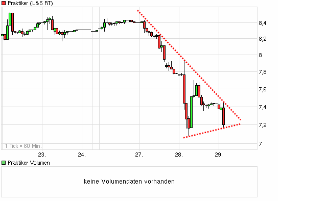 Praktiker praktisch kaufen 316476