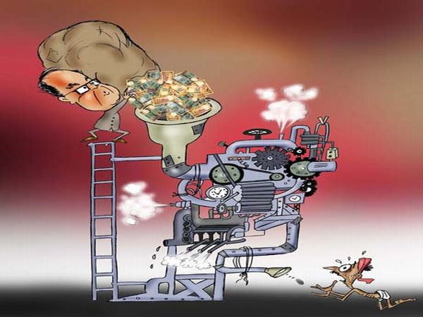 Der USA Bären-Thread 527829