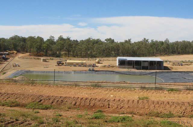 Alcyone R.- The next australian silverproducer ? 312476