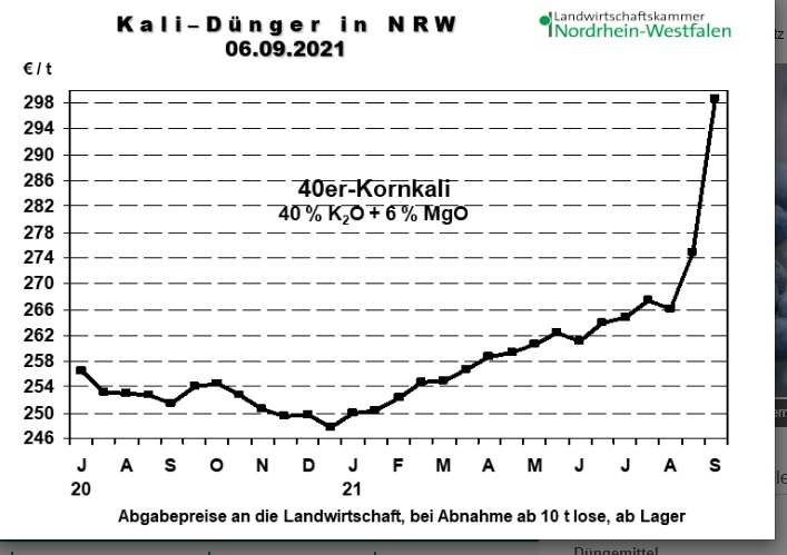 K+S wird unterschätzt 1272656