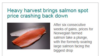 Leroy Seafood - feiner Fang fürs Depot? 849825