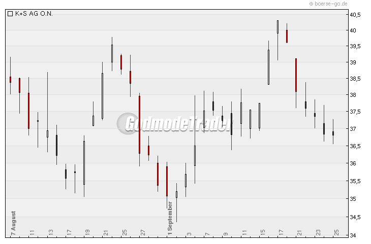 Aktien-Tagebuch 262560