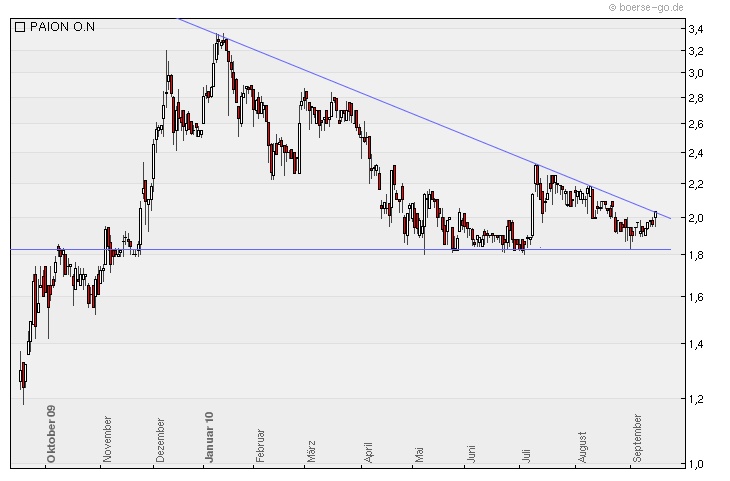 PAION Eine Fledermaus lernt wieder fliegen 345540