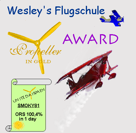 Wesleys Flugschule - US Auslese 405744