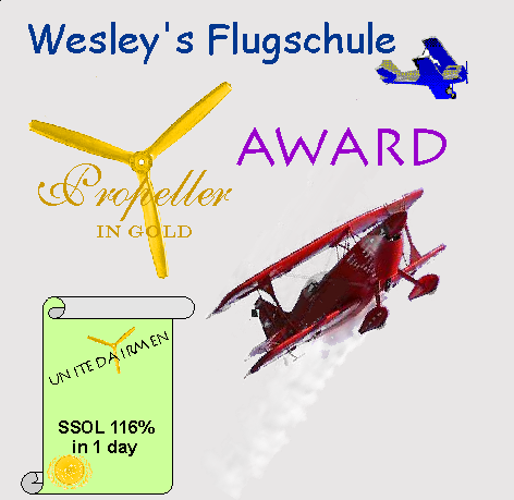 Wesleys Flugschule - US Auslese 374946