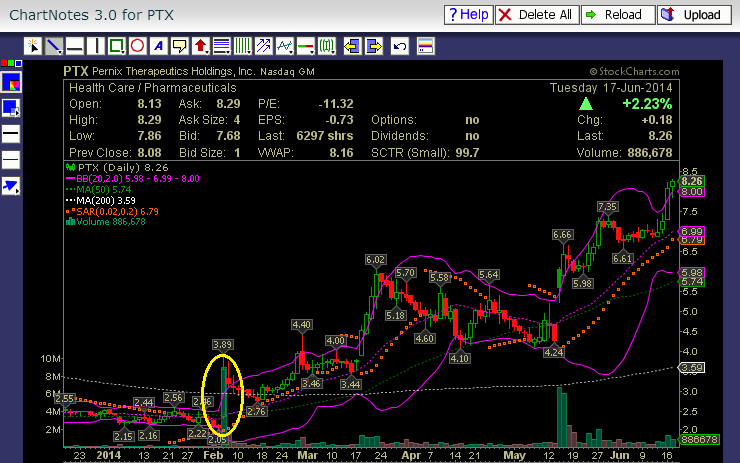 knock-outs unlimited 733484