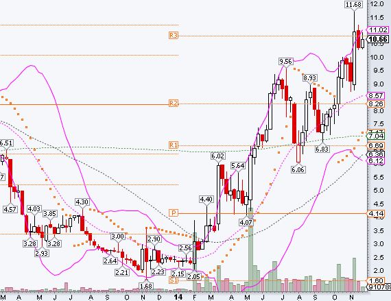 knock-outs unlimited 776618