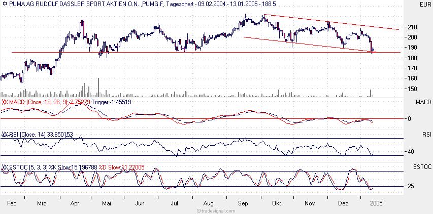 Puma im freien Fall 3817