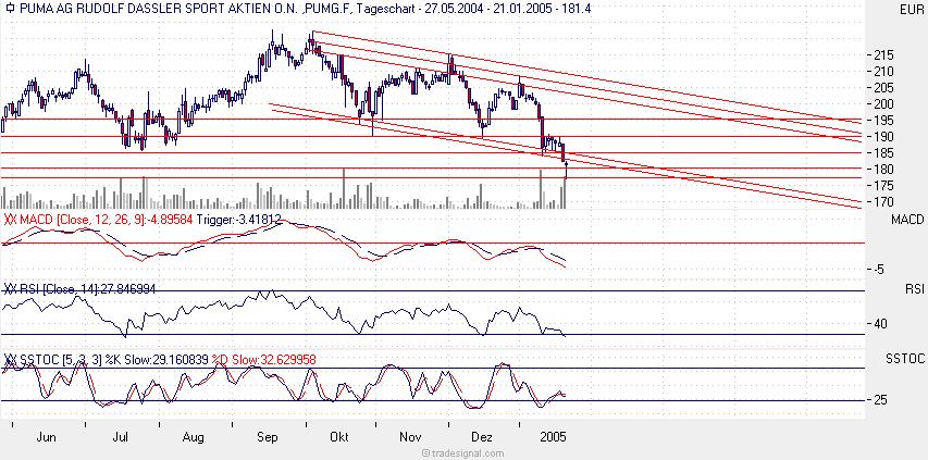 Puma mit Doppeltop? 4064