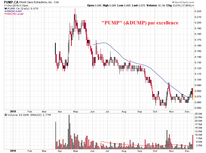 Der USA Bären-Thread 1148850
