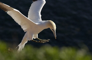 1.565.DAX Tipp-Spiel, Dienstag, 07.06.11 409719