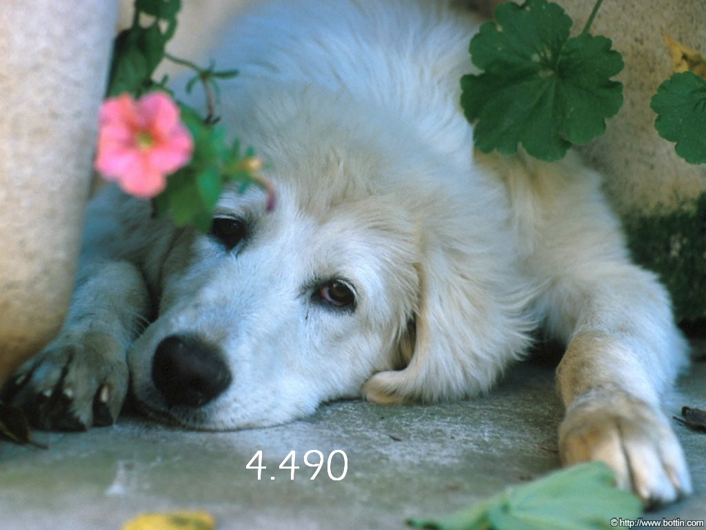 900.DAX Tipp-Spiel *Do* 23.10.08, 17.45 Uhr 194534