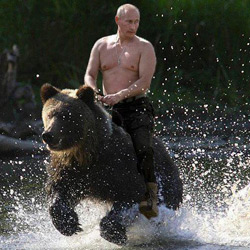 QV ultimate (unlimited) 746825