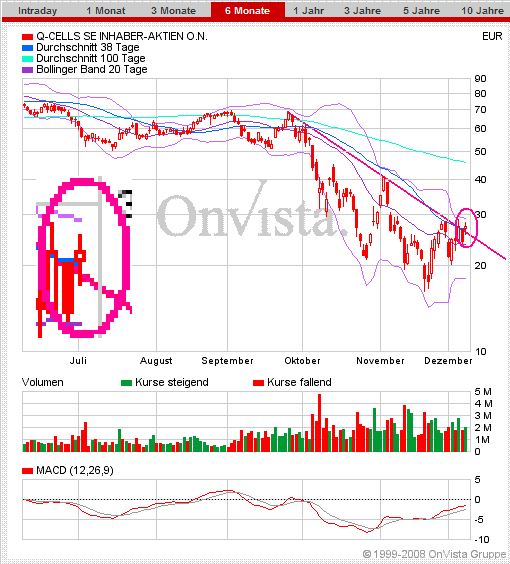 Q-Cells , der Solarzellenriese 204431