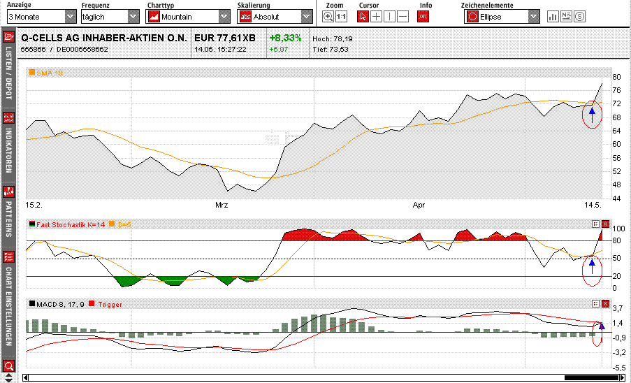 Q-Cells , der Solarzellenriese 163618