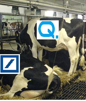 Q-Cells , der Solarzellenriese 200998