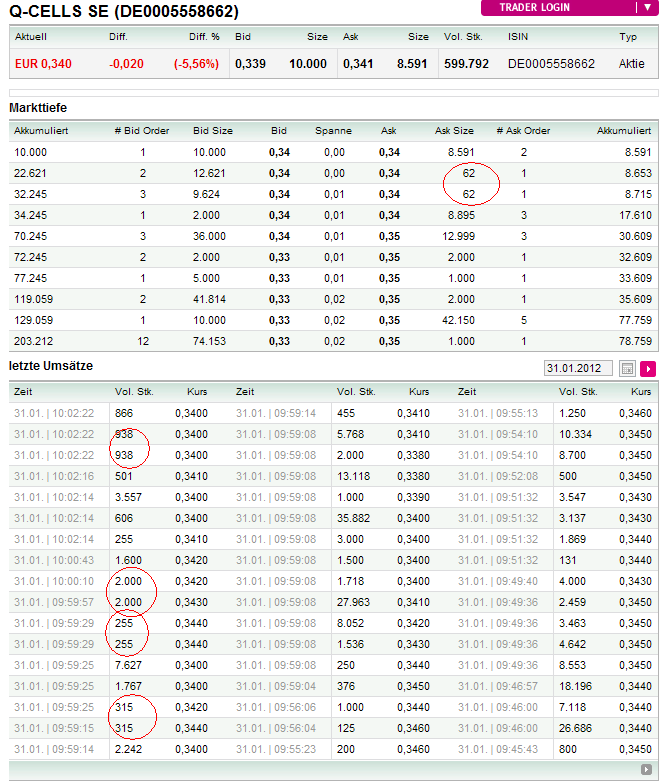 Q-Cells - der Krisegewinner in Deutschland! Warum? 480961