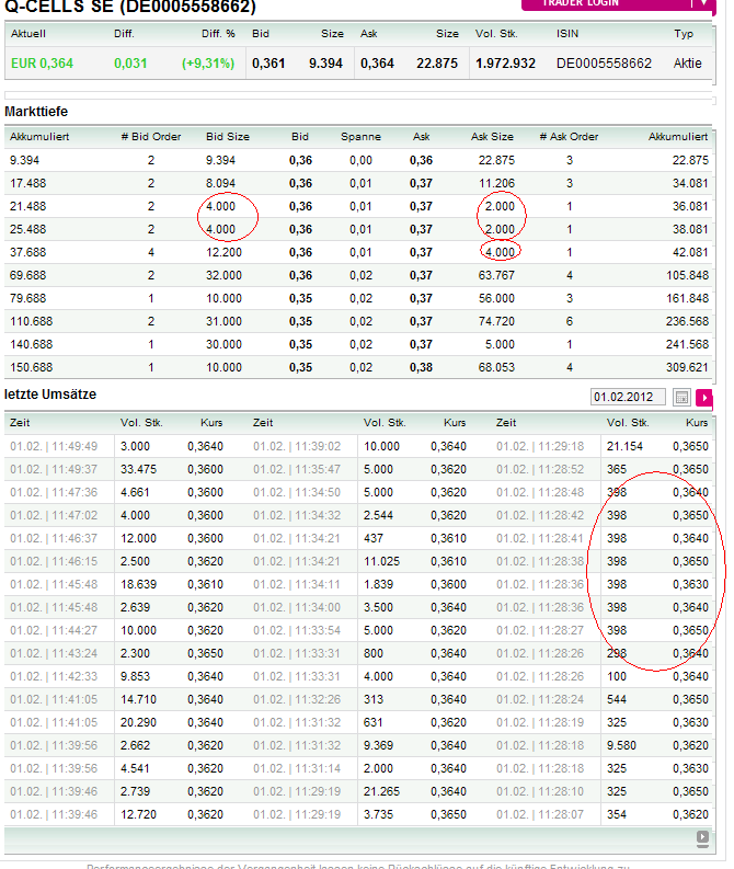 Q-Cells , der Solarzellenriese 481319