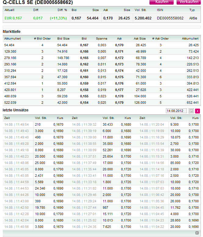 Q-Cells , der Solarzellenriese 529617