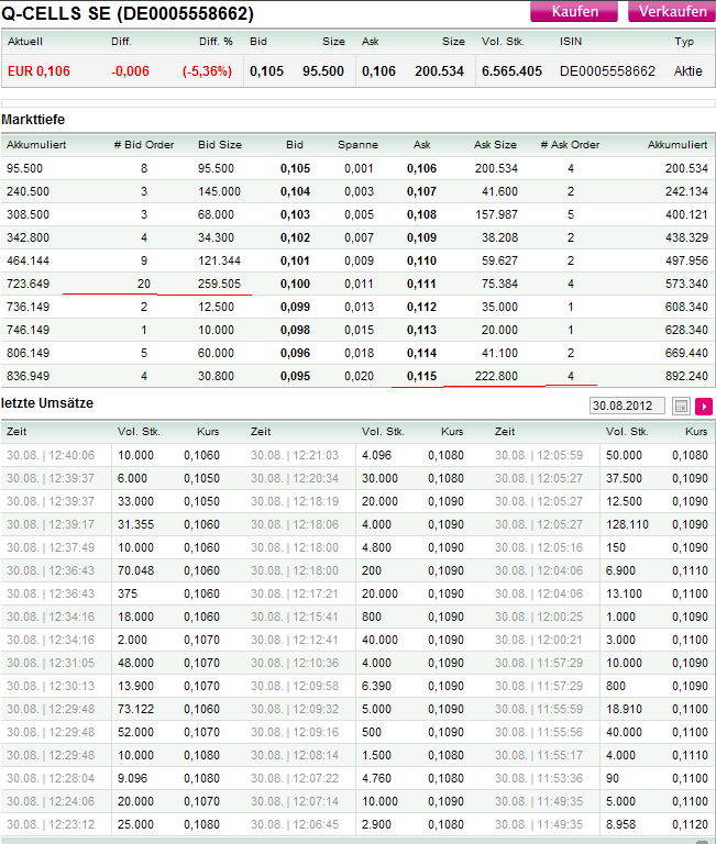 Q-Cells , der Solarzellenriese 533323