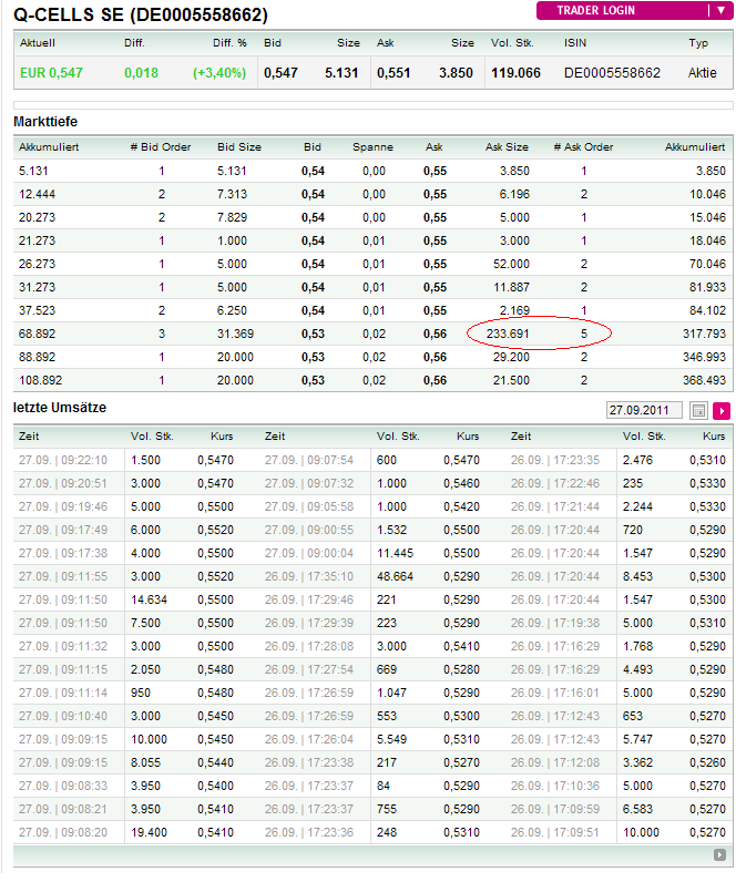 Q-Cells , der Solarzellenriese 443067