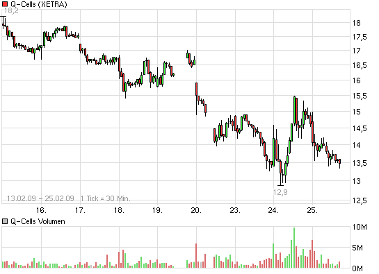 Q-Cells , der Solarzellenriese 218660
