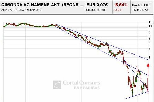Hat Qimonda ein Chance wieder aufzustehen? 221199