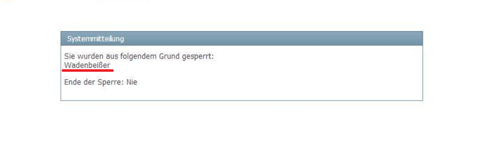 Depotbesprechung Vino feat. Reblaus 1098443