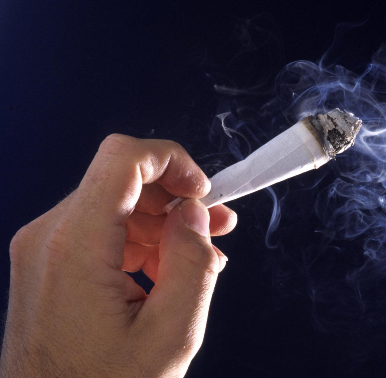 netcents, die neue online zahlungsplattform 1228603