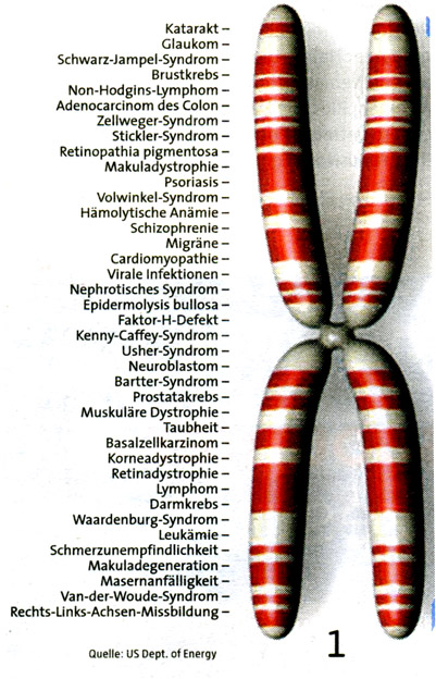 Morphosys: Sichere Gewinne und Milliardenpotential 354856